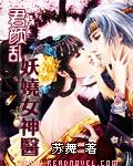 君颜乱：妖娆女神医