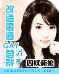 囚奴新娘：改造黑道GAY总裁