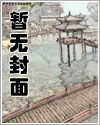 从将军到明皇