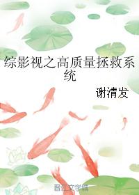 综影视之高质量拯救系统