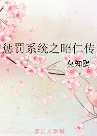 惩罚系统之昭仁传