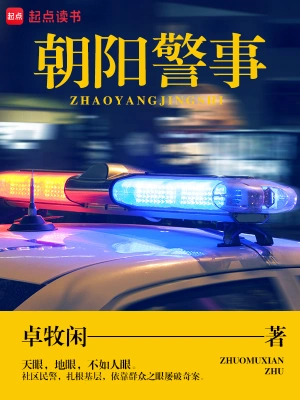 我真不是神探（朝阳警事）