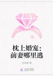 枕上婚宠：前妻哪里逃