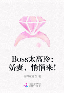 Boss太高冷：娇妻，悄悄来！