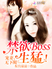 禁欲Boss生猛！宠妻，无下限