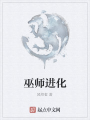 巫师进化