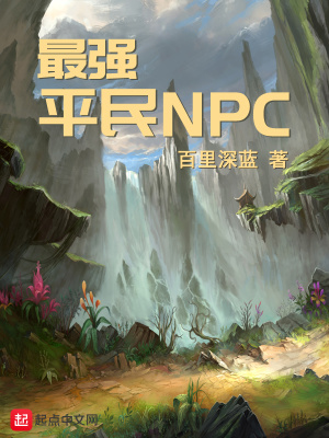 最强平民NPC