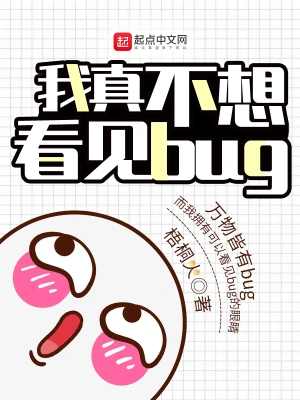 我真看不见bug