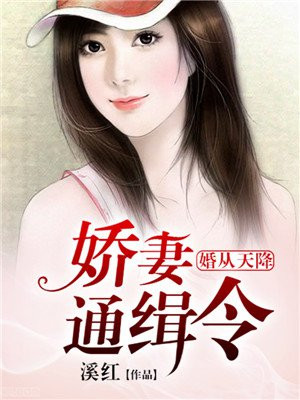 婚从天降：娇妻通缉令